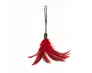 SS Pleasure Feather Tickler Red