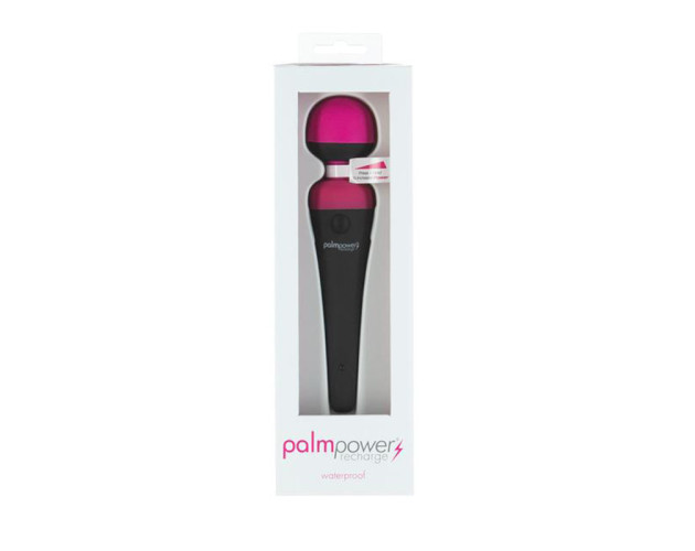 Palm Power Massager Rechargeable WP