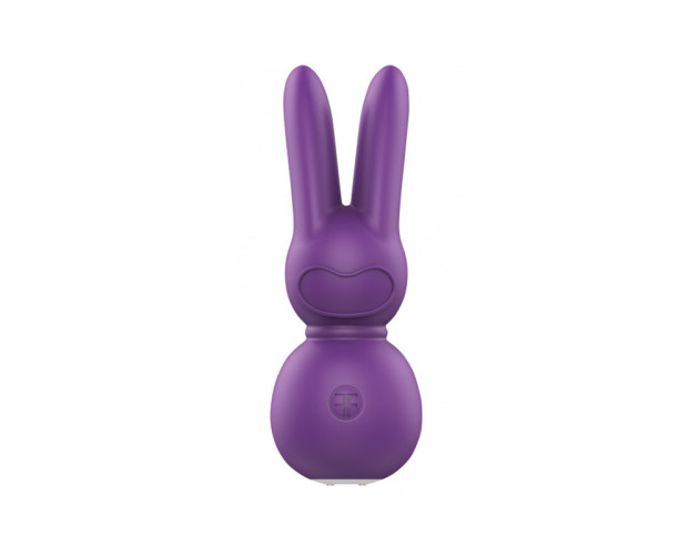 FemmeFunn Stubby 2 Massager Purple