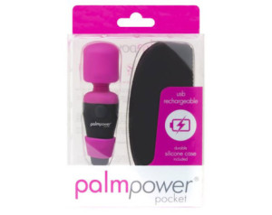 Palm Power Pocket USB Rechargeable