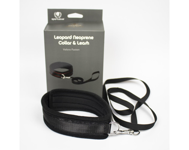 Collar And Leash Neoprene Black