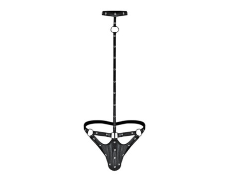 MP Fetish Tormentor Choker Harn Blk SM