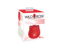 Wild Rose Classic Rose