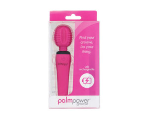 Palmpower Groove Mini Wand Fuchsia