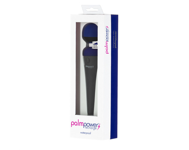 Palmpower Recharge Massager USB Blue